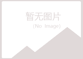 克拉玛依夜山会计有限公司